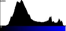 Blue Histogram