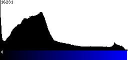 Blue Histogram