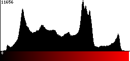 Red Histogram