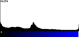 Blue Histogram