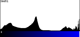 Blue Histogram