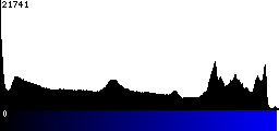 Blue Histogram