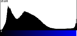 Blue Histogram