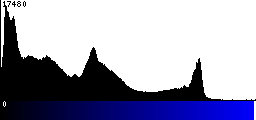 Blue Histogram