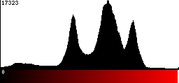 Red Histogram