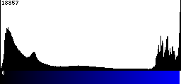 Blue Histogram