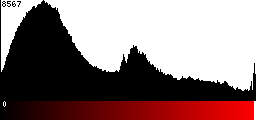 Red Histogram