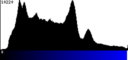 Blue Histogram