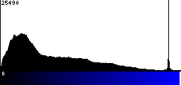 Blue Histogram