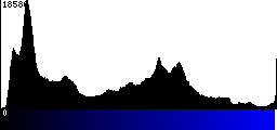 Blue Histogram