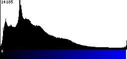 Blue Histogram