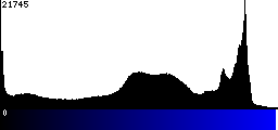 Blue Histogram