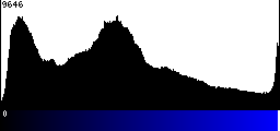 Blue Histogram