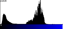 Blue Histogram