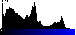 Blue Histogram