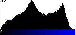 Blue Histogram