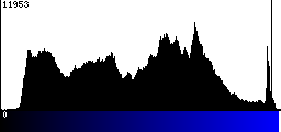 Blue Histogram