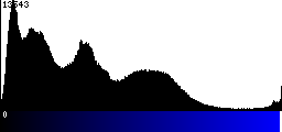 Blue Histogram