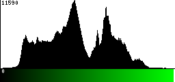 Green Histogram