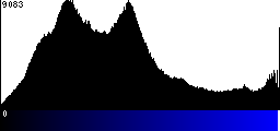 Blue Histogram