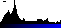 Blue Histogram