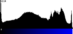 Blue Histogram