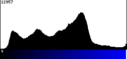 Blue Histogram