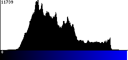 Blue Histogram