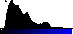 Blue Histogram