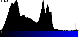 Blue Histogram