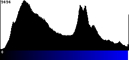 Blue Histogram