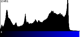 Blue Histogram