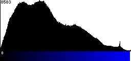 Blue Histogram