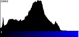 Blue Histogram