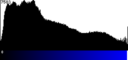 Blue Histogram