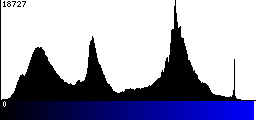 Blue Histogram