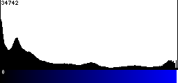 Blue Histogram