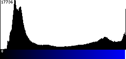 Blue Histogram