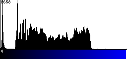 Blue Histogram