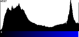 Blue Histogram