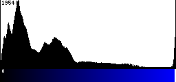 Blue Histogram