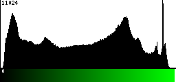 Green Histogram