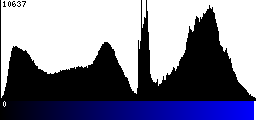 Blue Histogram