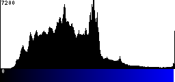 Blue Histogram