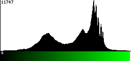 Green Histogram