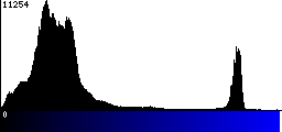 Blue Histogram