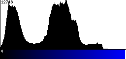 Blue Histogram