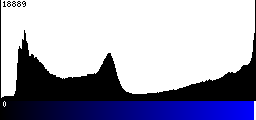 Blue Histogram