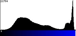 Blue Histogram