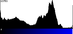 Blue Histogram